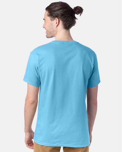 Hanes_5280_Aquatic_Blue_Back_High_Model__50420.1759887434.jpg