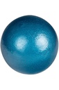 Champro Cast Iron Shot Put (6lb - 16lb)